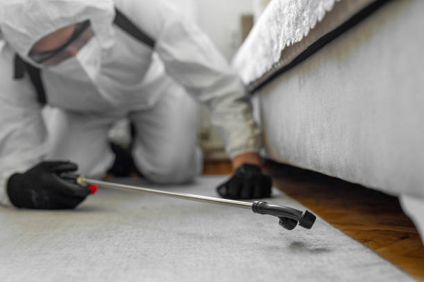Professional Bed Bug Control technician working in Lochmoor Waterway Estates, FL